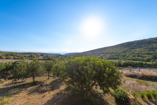 2.9 hectares of land