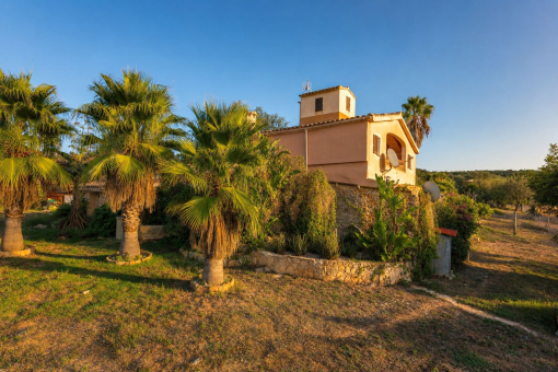 Finca mit Palmen und mediterranem Garten bei Manacor
