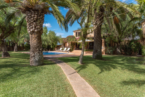 Mediterranean landscaping