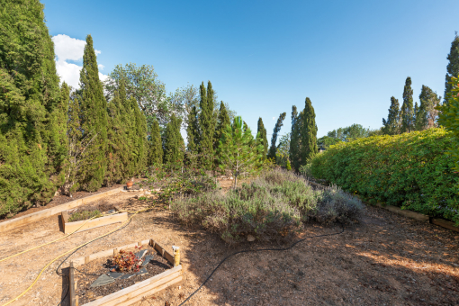 Vordergarten