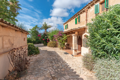 Authentic finca estate