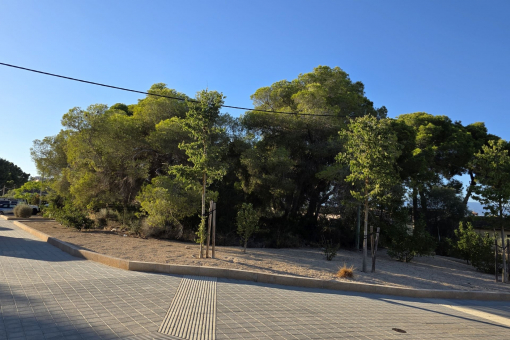 Plot with building licence