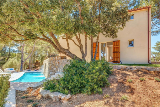 Mediterrane vegetation