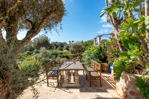 Terrace with green view