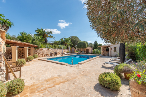 Pool with sun terrace