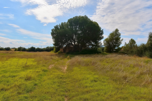 View of the existing house