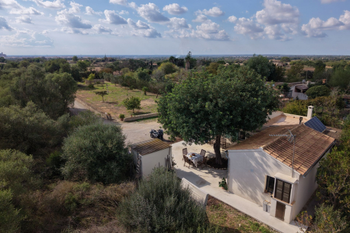 Bird view