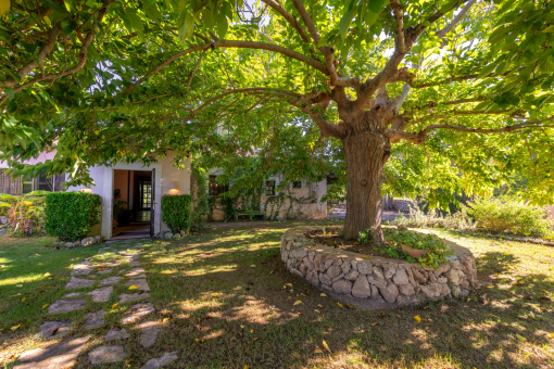 Großer Garten mit mediterranem Flair
