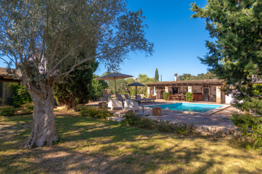 Grüne Umgebung und weitläufiges Grundstück mit viel Privatsphäre