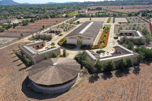 Luxury horse riding facilities and stables