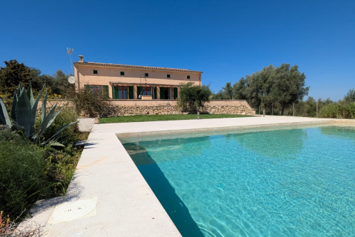 View from the terrace