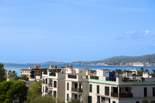 View from the rooftop