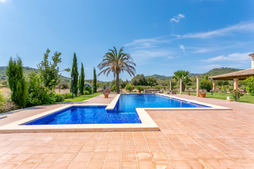 Gorgeous garden with pool