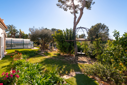 Idyllic garden oasis