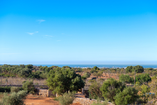 Sea views