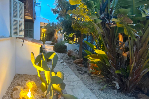 Surrounding of the house