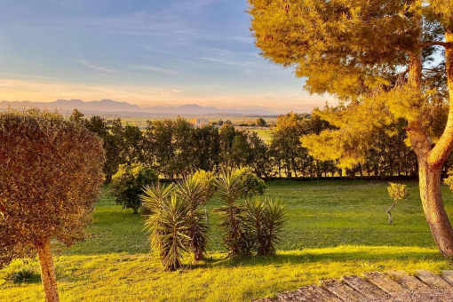 Idyllic landscape views