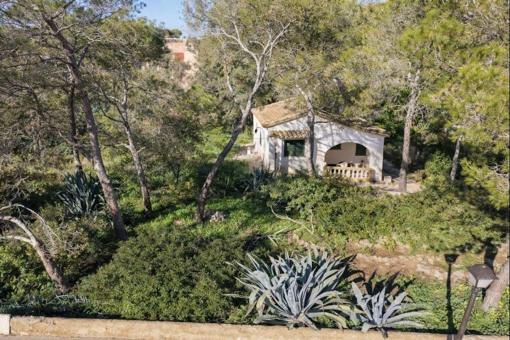 Vogelperspektive auf den Bungalow und den Baumbestand