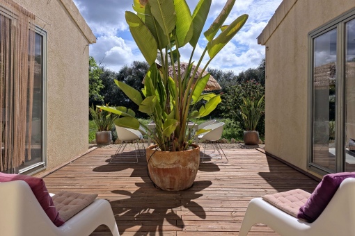 South-facing terrace