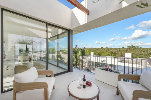 Newly built villa with a view