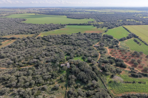 Impressive Building Plot of 280,000 sqm in Prime Location near Santanyí