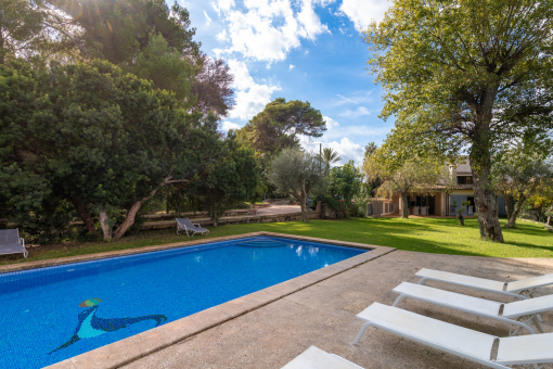 Gran piscina con mucho espacio para nadar y relajarse