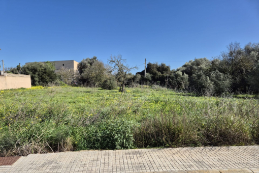 Two urban building plots in a quiet location in Ses Salines