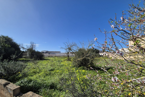 Two urban building plots in a quiet location in Ses Salines