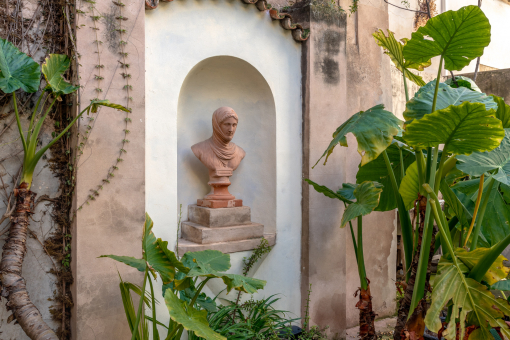 Details of the garden