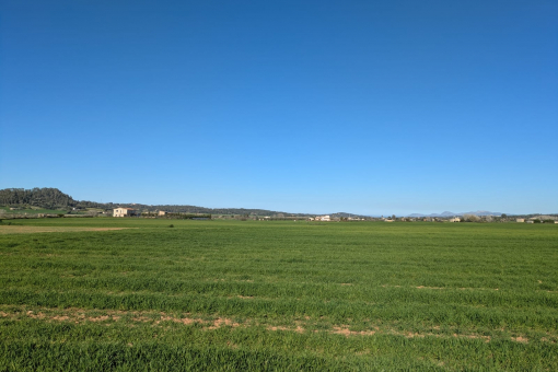 Grundstück in Sineu