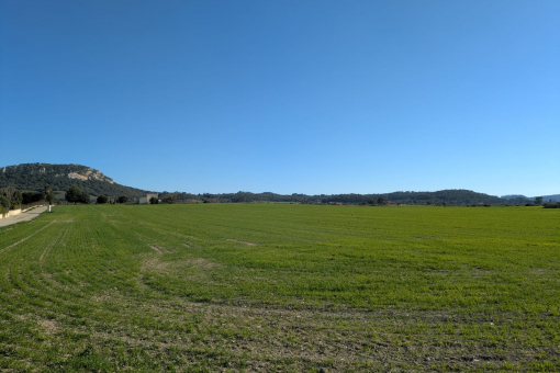 Grundstück in Sineu