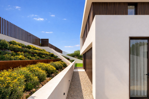 Pflegeleichter Garten um das Haus