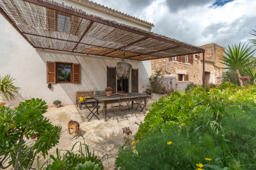 Terrace mainbuilding