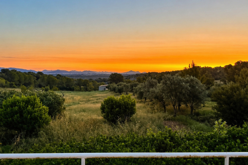 Sonnenuntergang im Westen