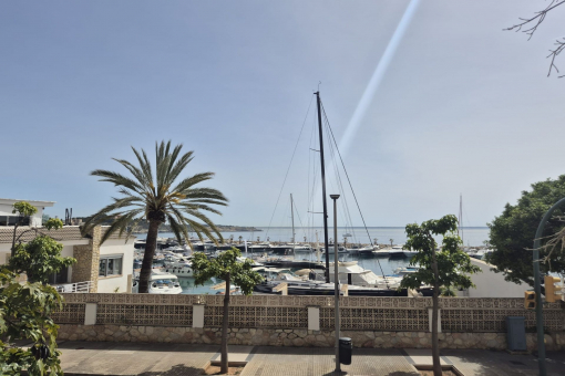 apartment in San Augustín