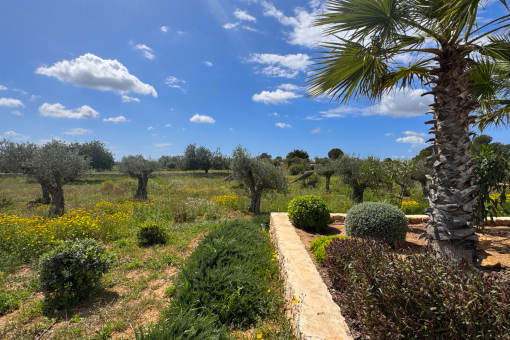 Finca Llucmajor Jardin