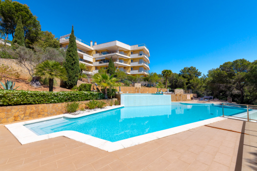 Beautiful pool area