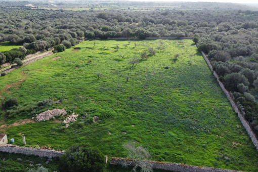 Plot with seaview