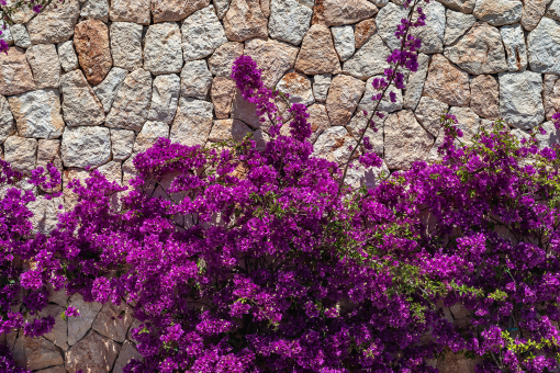 Natursteinelementen und mediterraner Bepflanzung