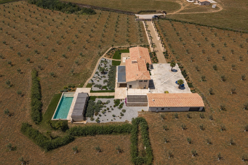 Panorama-Luftaufnahme der Finca mit Olivenhain und mediterraner Gartenlandschaft