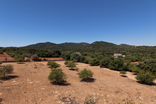 Breathtaking 360 views