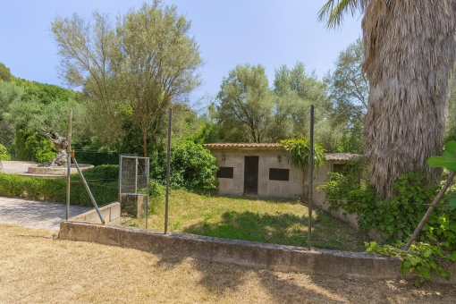 Jardín con pequeña construcción y árboles