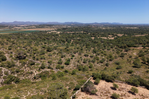 Views over the island