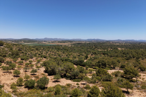 Views over the Island