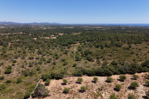 Views over the island
