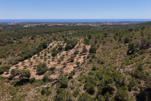 Seaview to Cala Mendia