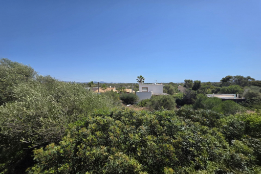 Open views