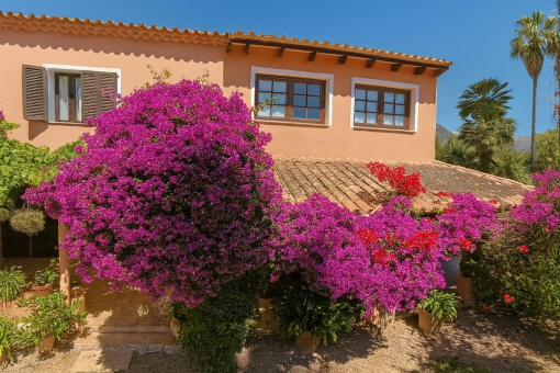 House facade with flowering garden
