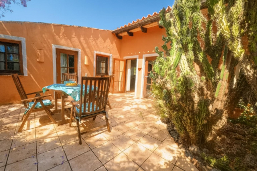 Sunny outdoor terrace with cactus garden