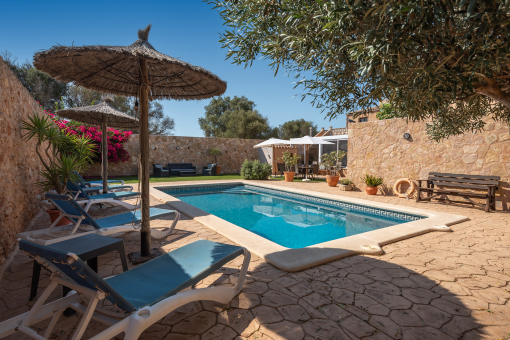 Garden and pool